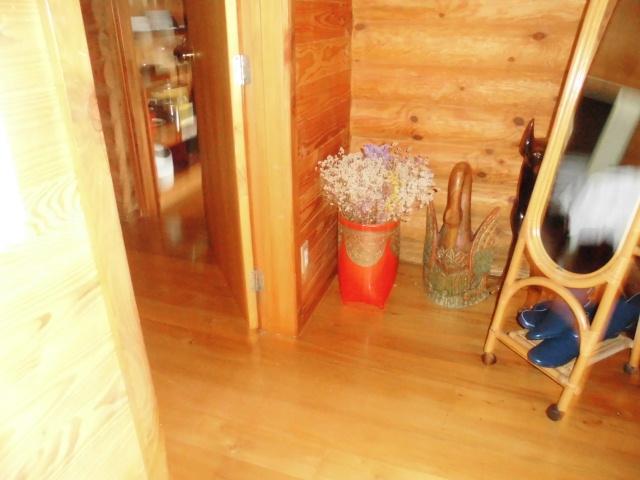 Log Cottage Villa Happo Hakuba Ngoại thất bức ảnh